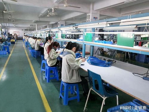 五天八小时工作制 国家经济持续发展与繁荣的基石